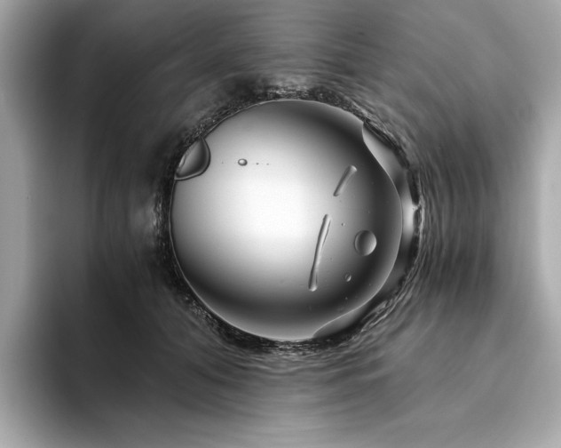 X0000094200608200710261153