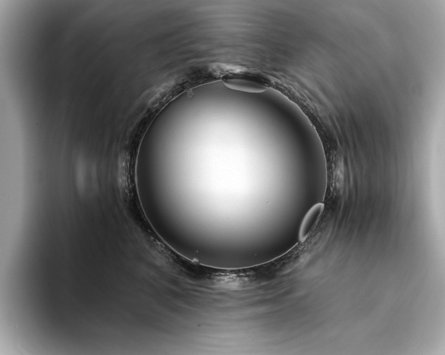 X0000094200616200710261153