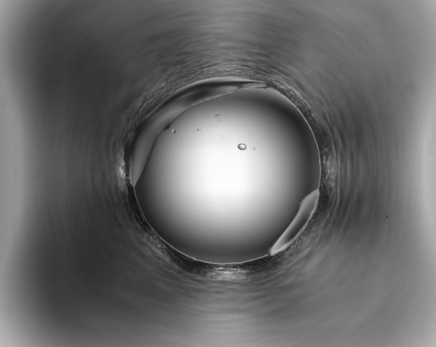 X0000094200617200710261153