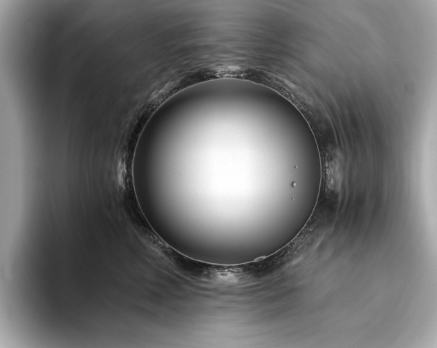 X0000094200618200710261153