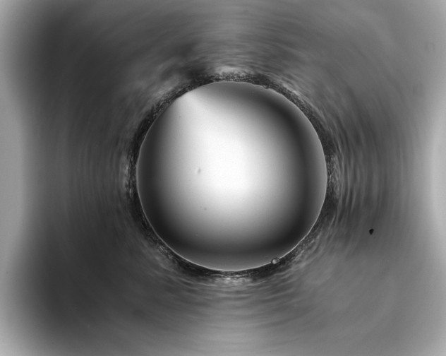 X0000094200619200710261153