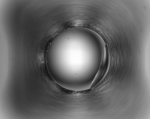 X0000094200620200710261153