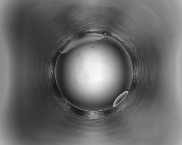 X0000094200623200710261153