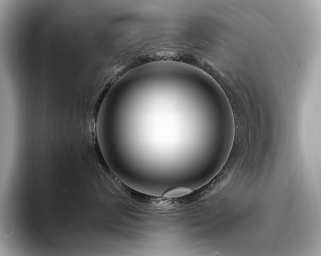 X0000094200624200710261153