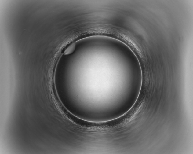 X0000094200625200710261152