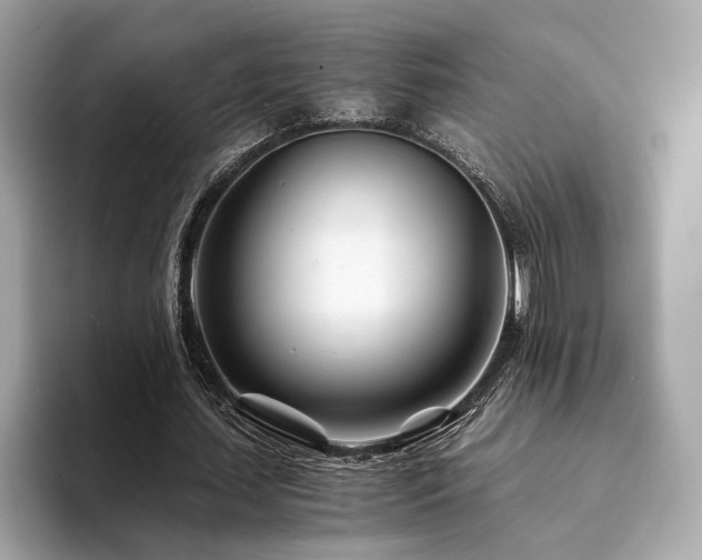 X0000094200627200710261152