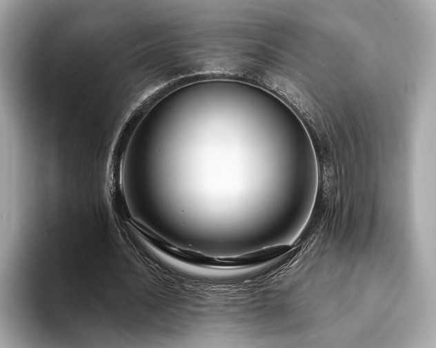 X0000094200628200710261152