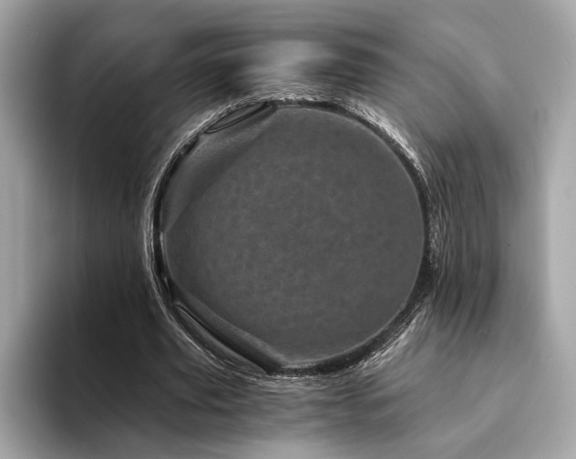 X0000094200629200710261152