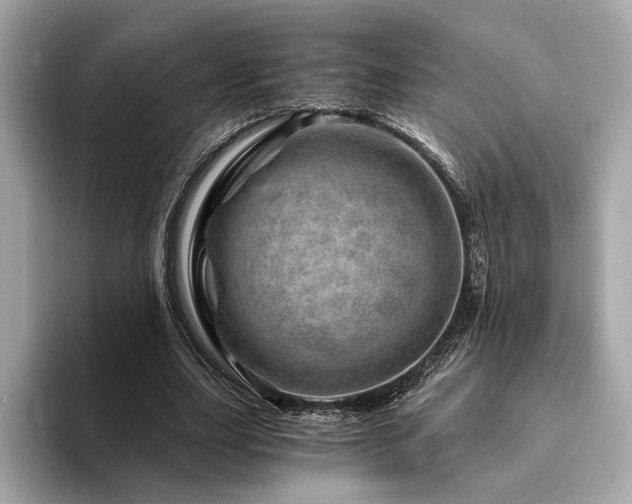 X0000094200631200710261153