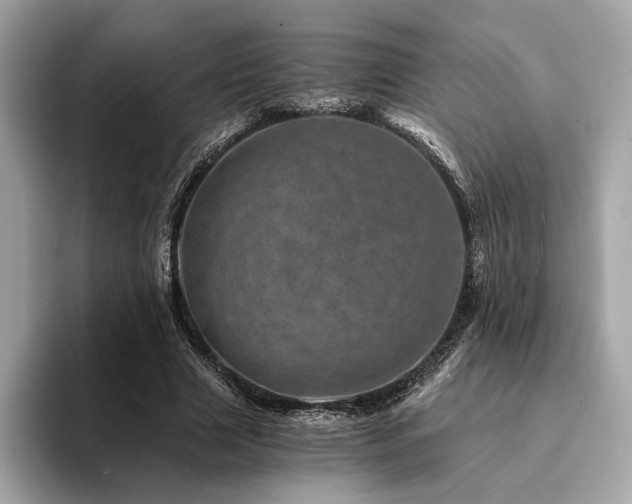 X0000094200633200710261153