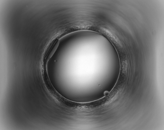 X0000094200634200710261153