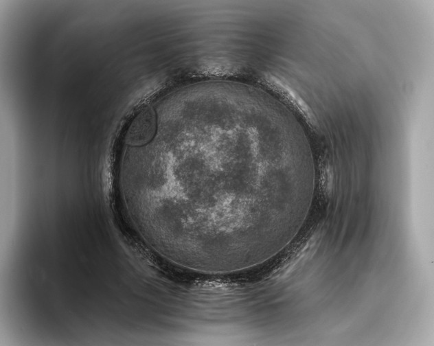 X0000094200635200710261153