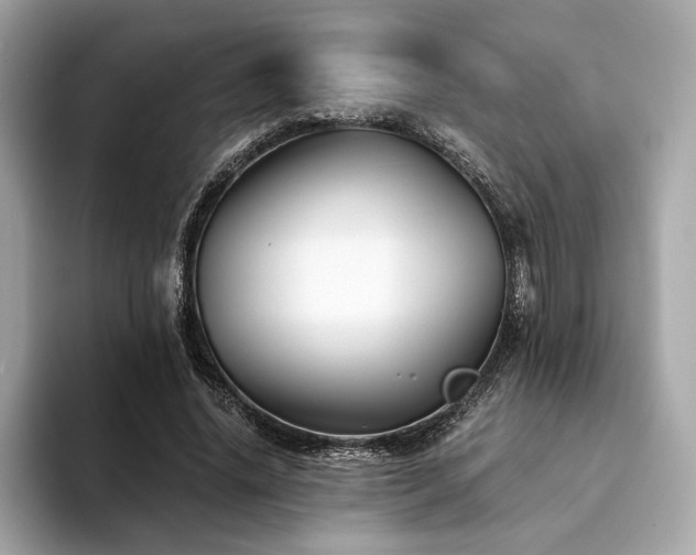 X0000094200636200710261153