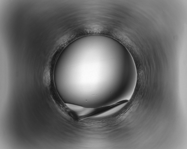 X0000094200638200710261153