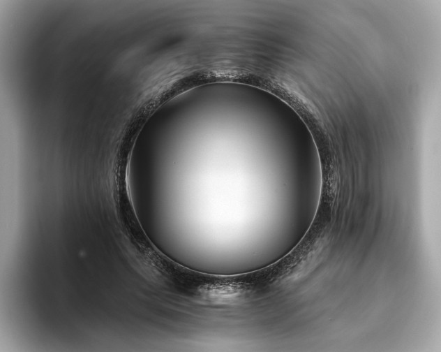 X0000094200639200710261153
