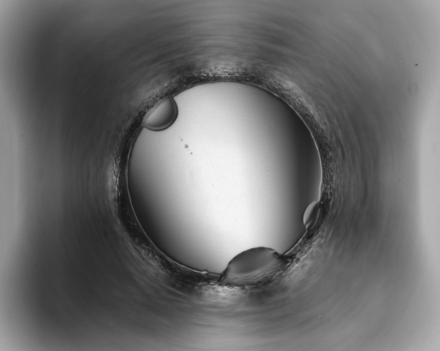 X0000094200640200710261153