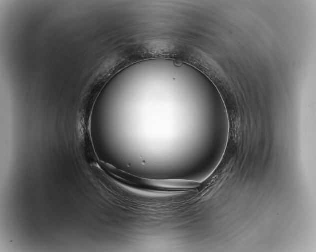 X0000094200644200710261153