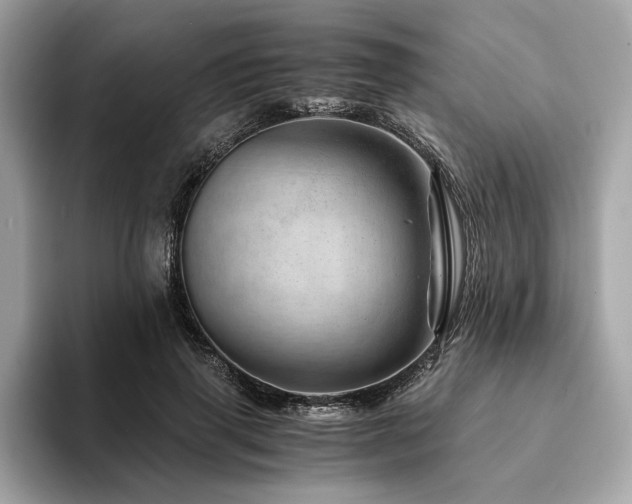 X0000094200645200710261153