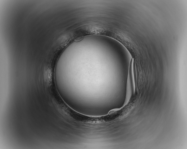 X0000094200646200710261153