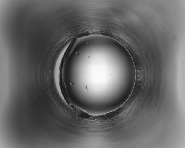X0000094200648200710261153