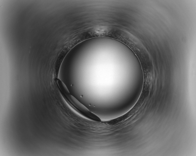 X0000094200651200710261153