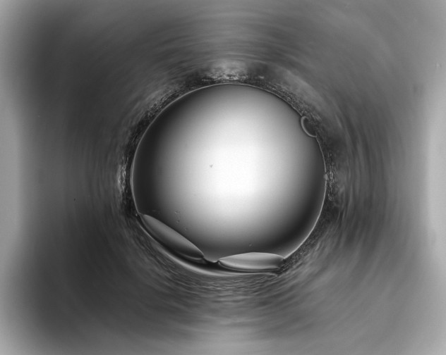 X0000094200652200710261153
