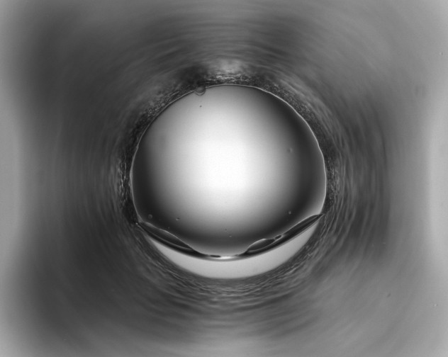 X0000094200653200710261153