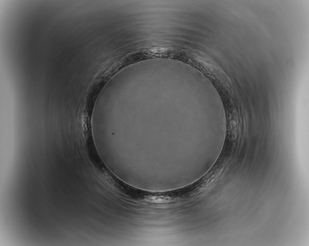 X0000094200654200710261153