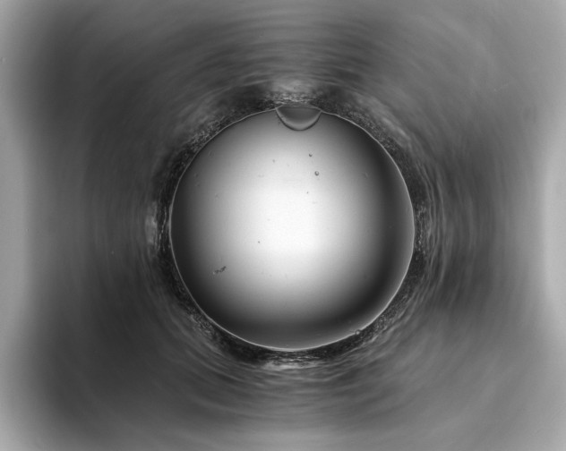 X0000094200655200710261153