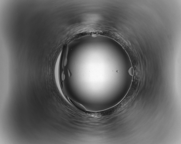 X0000094200659200710261153