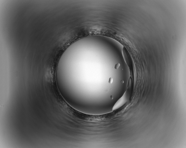 X0000094200661200710261153