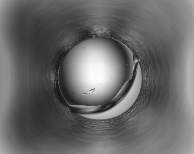 X0000094200662200710261153