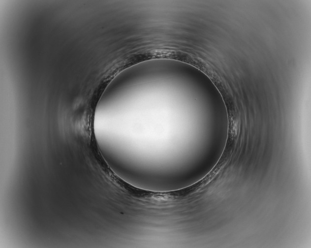 X0000094200666200710261153