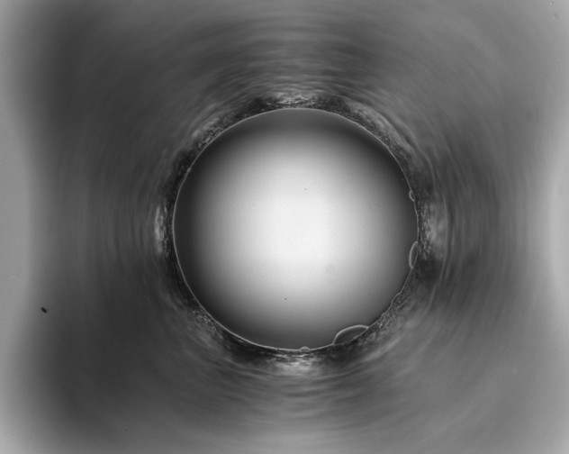 X0000094200667200710261153