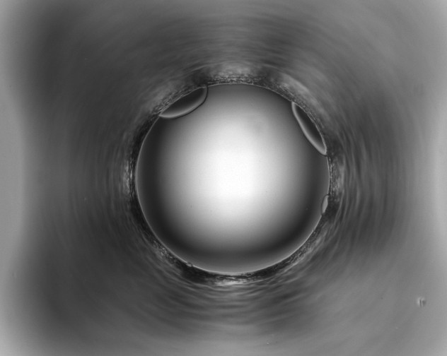 X0000094200669200710261153