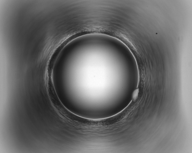 X0000094200674200710261152