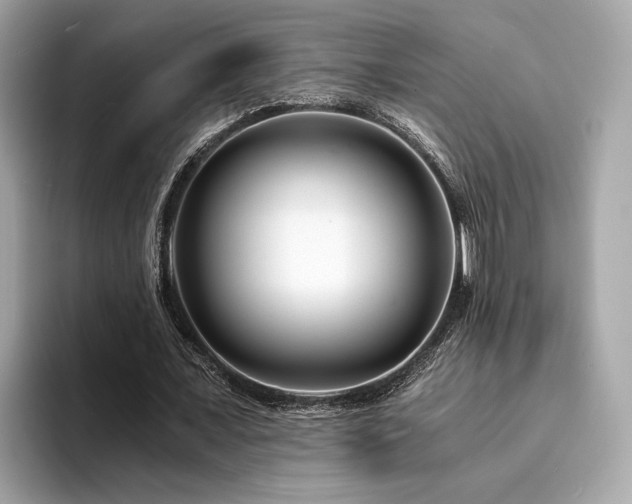 X0000094200675200710261152