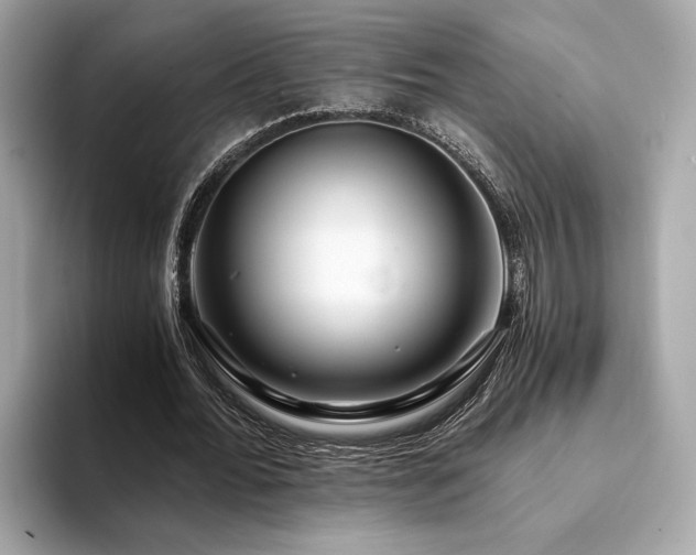X0000094200676200710261152