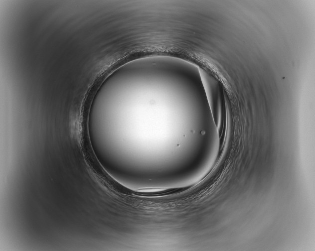 X0000094200677200710261152
