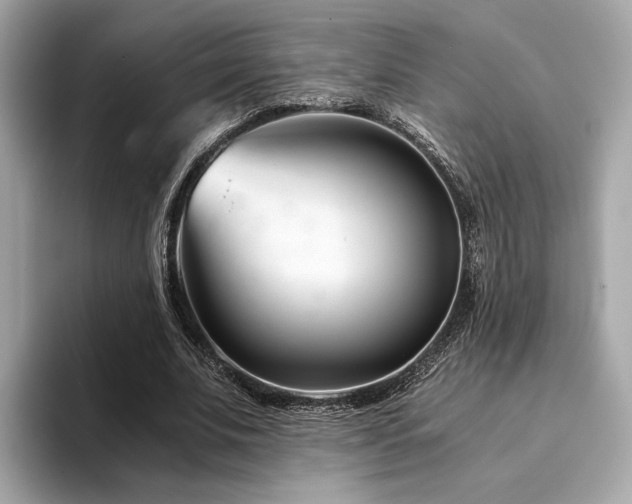 X0000094200679200710261152