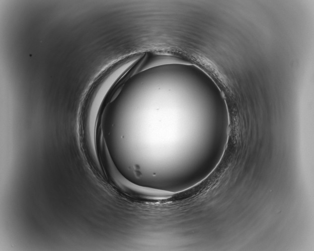 X0000094200680200710261152