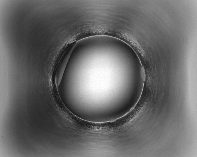 X0000094200681200710261152