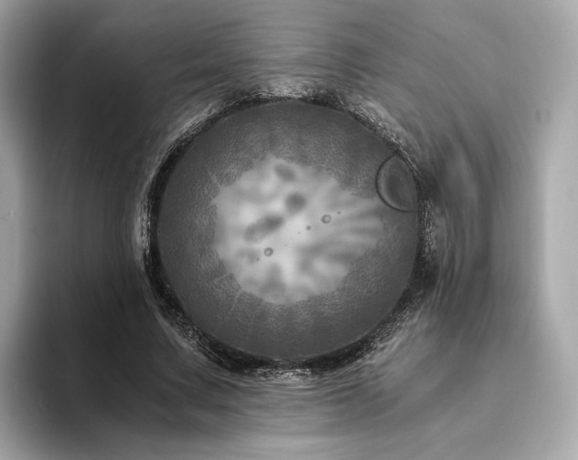 X0000094200683200710261152