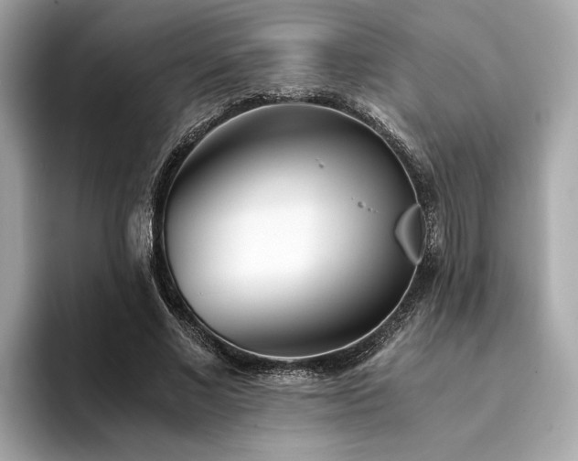 X0000094200685200710261152