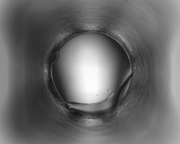 X0000094200688200710261152
