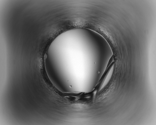 X0000094200689200710261152