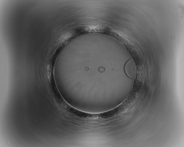 X0000094200695200710261152