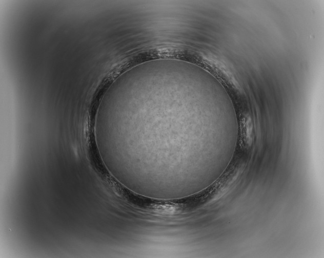 X0000094200698200710261152