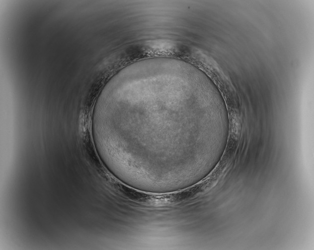 X0000094200701200710261152