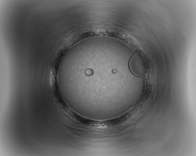 X0000094200702200710261152